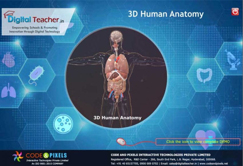 Human Anotomy | Codeandpixels