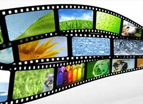 Documentaries / Video Based Learning